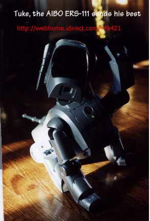 Aibo 110 sales